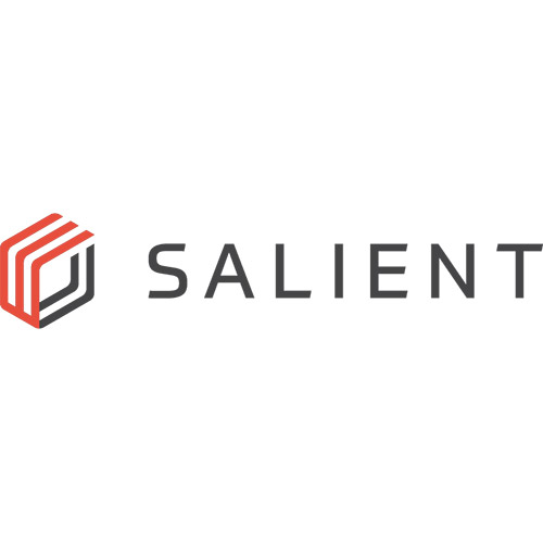Salient Systems logo
